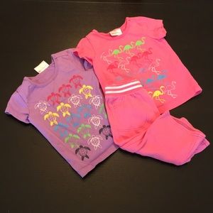 Hanna Andersson girls T-shirts (2) & pant